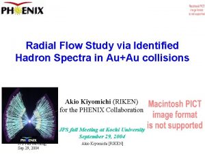 Radial Flow Study via Identified Hadron Spectra in