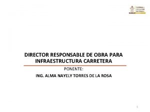 DIRECTOR RESPONSABLE DE OBRA PARA INFRAESTRUCTURA CARRETERA PONENTE