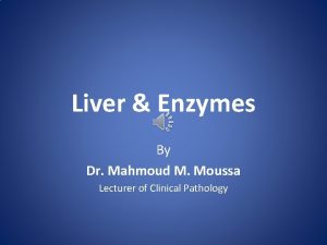 Liver Enzymes By Dr Mahmoud M Moussa Lecturer