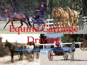 Equine Carriage Driving http www youtube comwatch vOWLr