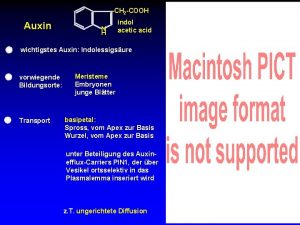 CH 2 COOH Auxin N H indol acetic