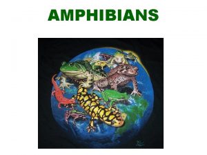 AMPHIBIANS Amphibian Means Double Life The spend part