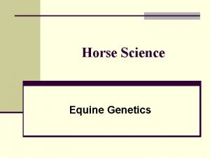 Horse Science Equine Genetics Introduction n Not been