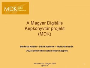 A Magyar Digitlis Kpknyvtr projekt MDK Bnkeszi Katalin