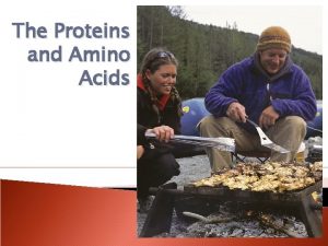 The Proteins and Amino Acids Proteins Presentation Outline