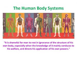The Human Body Systems It is shameful for