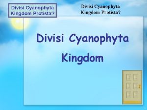 Divisi Cyanophyta Kingdom Protista Divisi Cyanophyta Kingdom 1