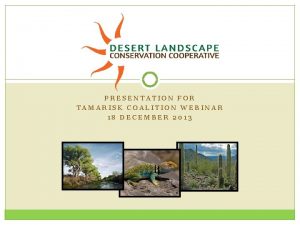 PRESENTATION FOR TAMARISK COALITION WEBINAR 18 DECEMBER 2013