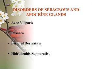 DISORDERS OF SEBACEOUS AND APOCRNE GLANDS Acne Vulgaris
