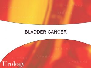 BLADDER CANCER Incidence l Fourth most common cancer