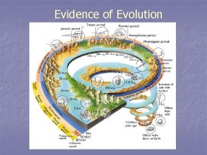 Evidence of Evolution Evidence of Evolution n n