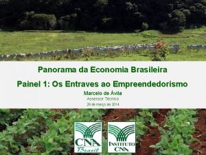 Panorama da Economia Brasileira Painel 1 Os Entraves