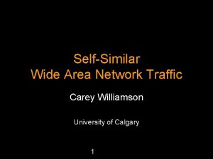 SelfSimilar Wide Area Network Traffic Carey Williamson University