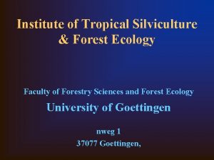 Institute of Tropical Silviculture Forest Ecology Faculty of