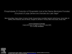 Phospholipase D 1 Production of Phosphatidic Acid at