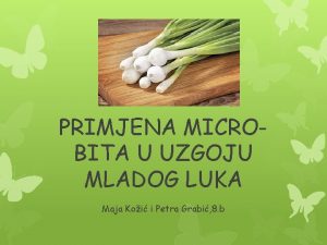 PRIMJENA MICROBITA U UZGOJU MLADOG LUKA Maja Koi