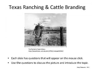 Texas Ranching Cattle Branding The Portal to Texas