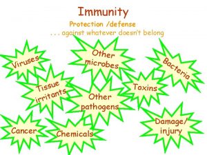 Immunity Protection defense against whatever doesnt belong Other