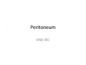 Peritoneum ANA 301 Structure of the peritoneum and