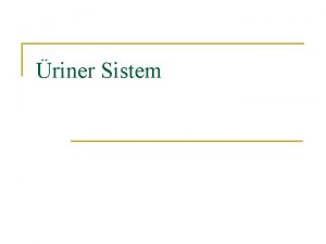 riner Sistem n n n RNER SSTEM 1