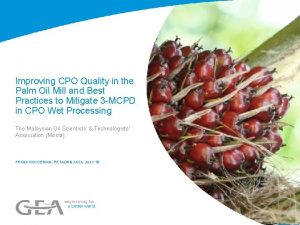 Improving CPO Quality in the Palm Oil Mill