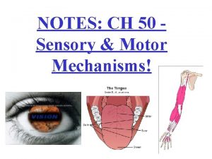 NOTES CH 50 Sensory Motor Mechanisms Sensory Mechanisms