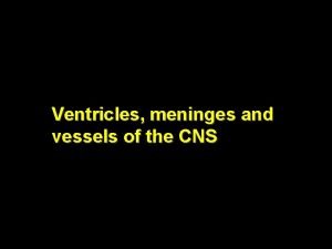 Ventricles meninges and vessels of the CNS Lateral