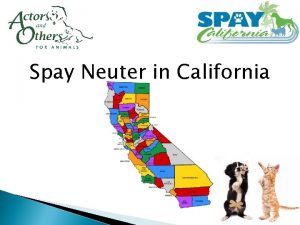 Spay Neuter in California Do you run a