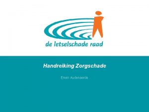 Handreiking Zorgschade Erwin Audenaerde 2009 De Letselschade Raad