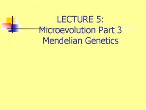 LECTURE 5 Microevolution Part 3 Mendelian Genetics Genetic