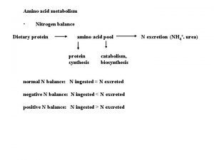 Amino acid metabolism Nitrogen balance Dietary protein amino