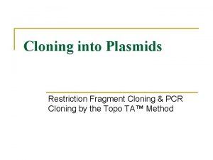 Cloning into Plasmids Restriction Fragment Cloning PCR Cloning