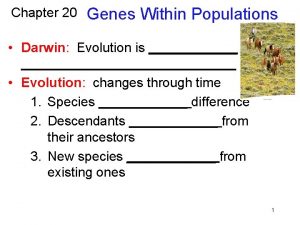 Chapter 20 Genes Within Populations Darwin Evolution is