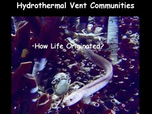 Hydrothermal Vent Communities How Life Originated Hydrothermal vent