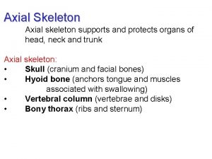 Axial Skeleton Axial skeleton supports and protects organs