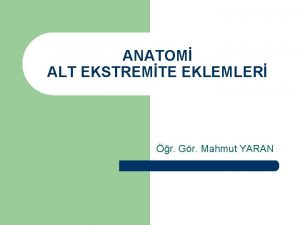 ANATOM ALT EKSTREMTE EKLEMLER r Gr Mahmut YARAN