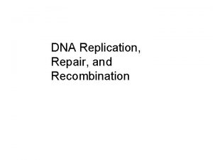 DNA Replication Repair and Recombination DNA Maintenance Mutation