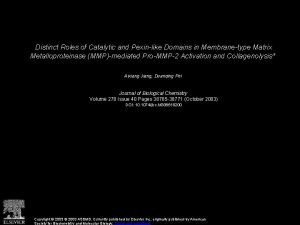 Distinct Roles of Catalytic and Pexinlike Domains in