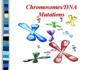 ChromosomesDNA Mutations Chromosome Mutation n Mutations are permanent