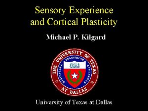 Sensory Experience and Cortical Plasticity Michael P Kilgard