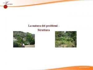 La natura dei problemi Struttura Suggerimenti didattici 1