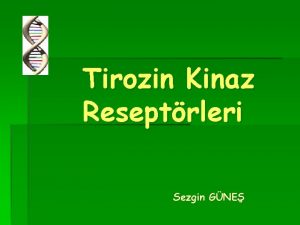 Tirozin Kinaz Reseptrleri Sezgin GNE Subfamilies of Receptor