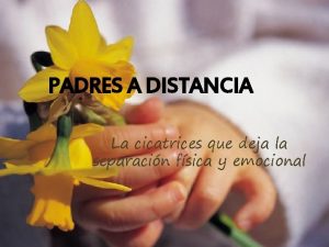 PADRES A DISTANCIA La cicatrices que deja la