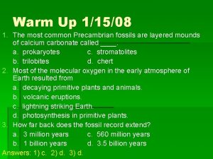 Warm Up 11508 1 The most common Precambrian