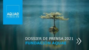 DOSSIER DE PRENSA 2021 FUNDACIN AQUAE Fundacin Aquae