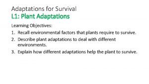 Adaptations for Survival L 1 Plant Adaptations Learning