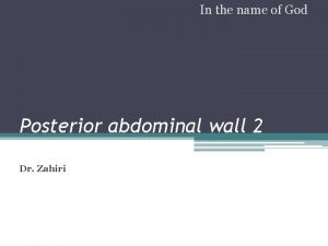In the name of God Posterior abdominal wall