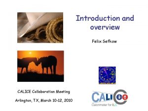 Introduction and overview Felix Sefkow CALICE Collaboration Meeting
