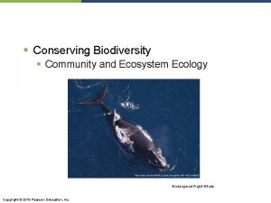 Conserving Biodiversity Community and Ecosystem Ecology Endangered Right