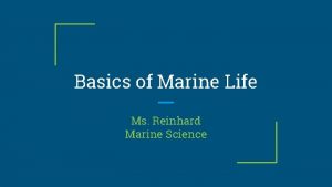 Basics of Marine Life Ms Reinhard Marine Science